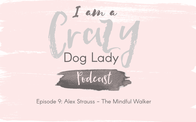 Episode 9: Alex Strauss – how a puppy inspired her to start a new business, The Mindful Walker.
