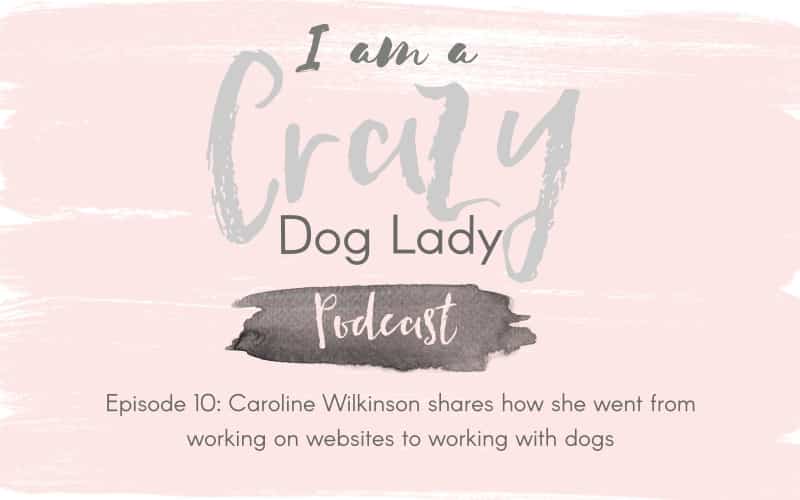 Episode 10: Caroline Wilkinson Went From Working On Websites To Working With Dogs