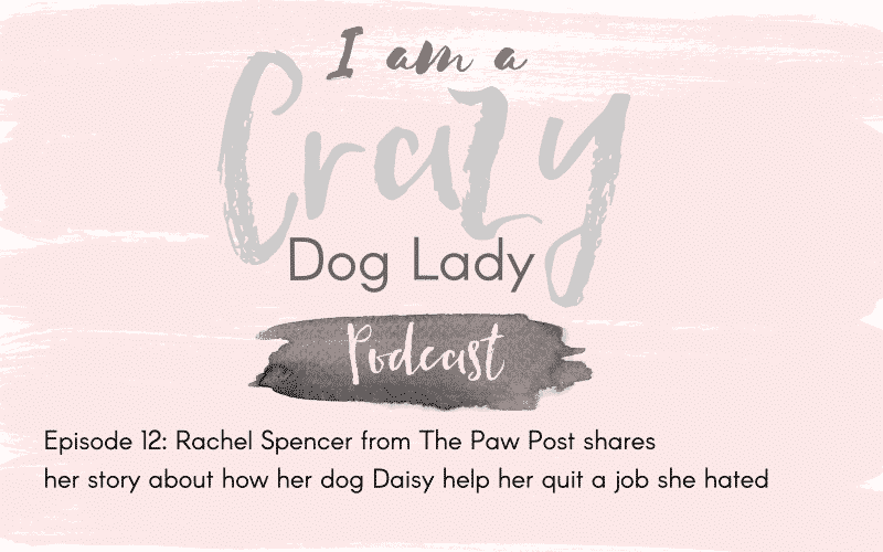 Episode 12: Rachel From The Paw Post Shares How Her Dog Daisy Made Her Quit A Job She Hated